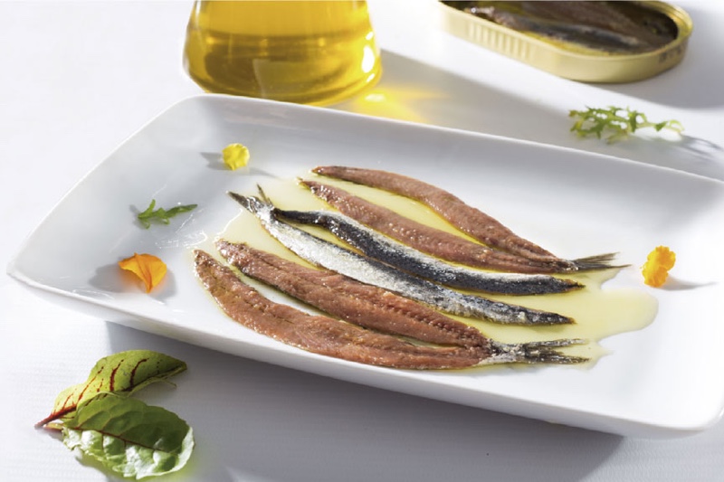 Cantabrian anchovies, what are they